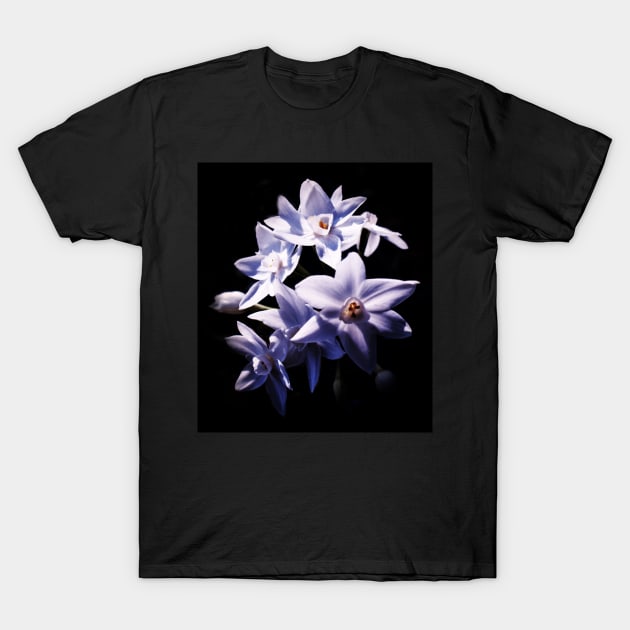 White Jonquils T-Shirt by DeborahMcGrath